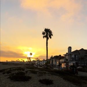 Meet your Posher, Bella